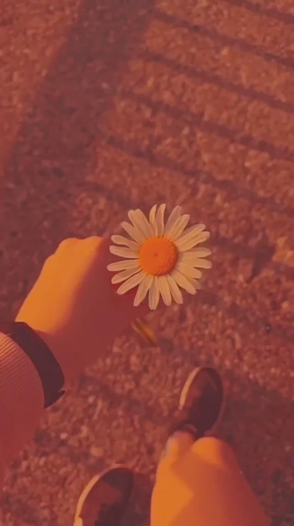 красивый фон для эстетики