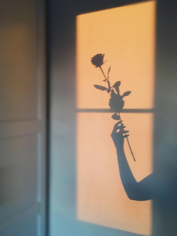 тень девушки на стене