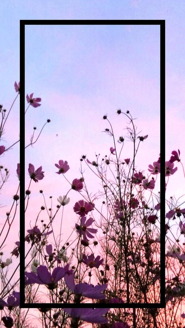 эстетичный фон на телефон