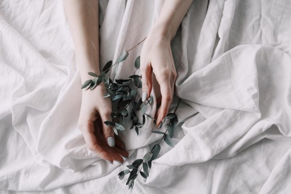 эстетика тела