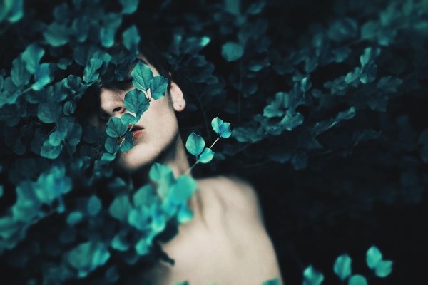 фотографии портрет