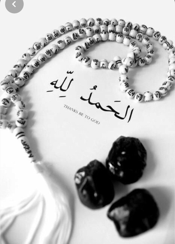 шукран джазилян