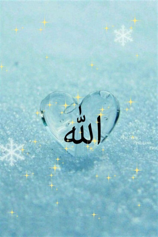 сердце из льда