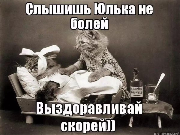 у собачки боли у кошечки боли а у тебя не боли