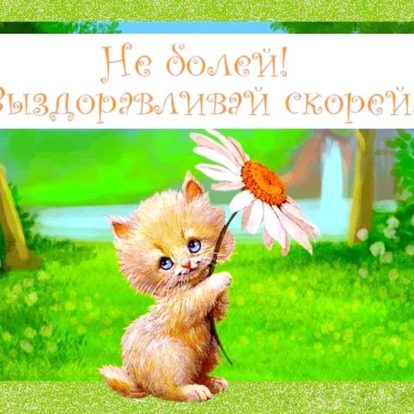 выздоравливай картинки
