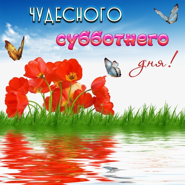 чудесной субботы