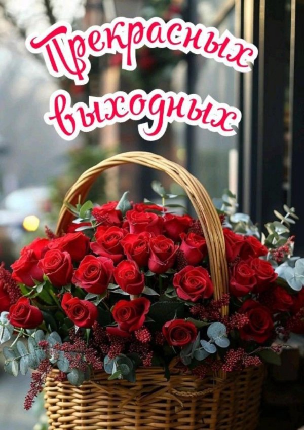 прекрасные выходные