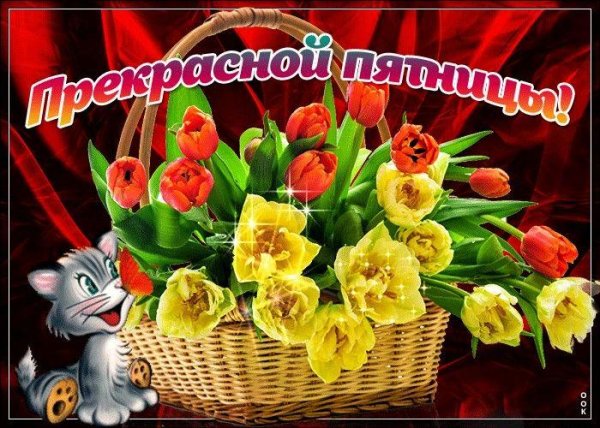 замечательной пятницы