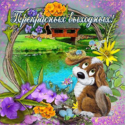 открытки отличных выходных