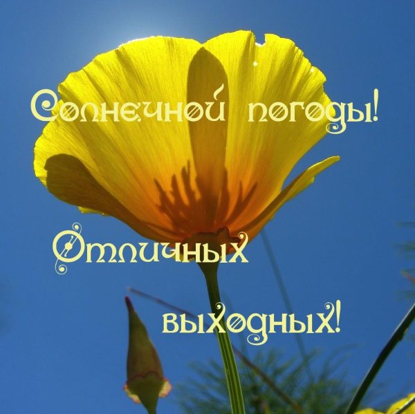 солнечных выходных