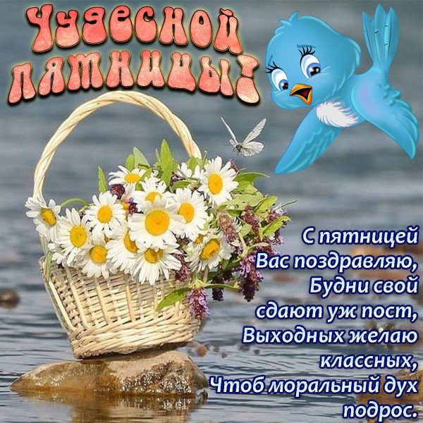 чудесной пятницы