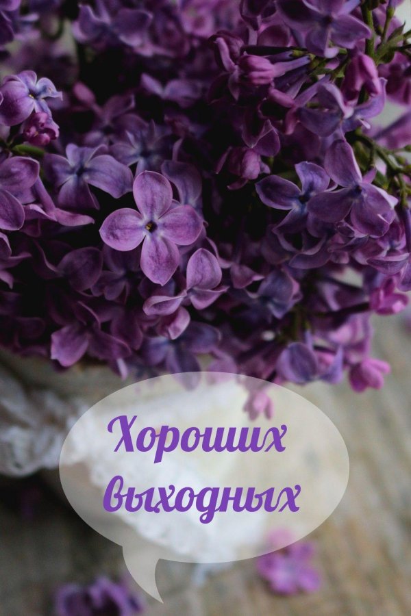 воскресенье выходной