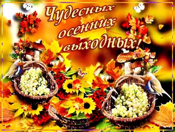 хороших выходных осень