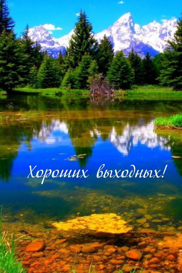 природа красивая