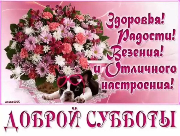 хорошей субботы и отличного настроения