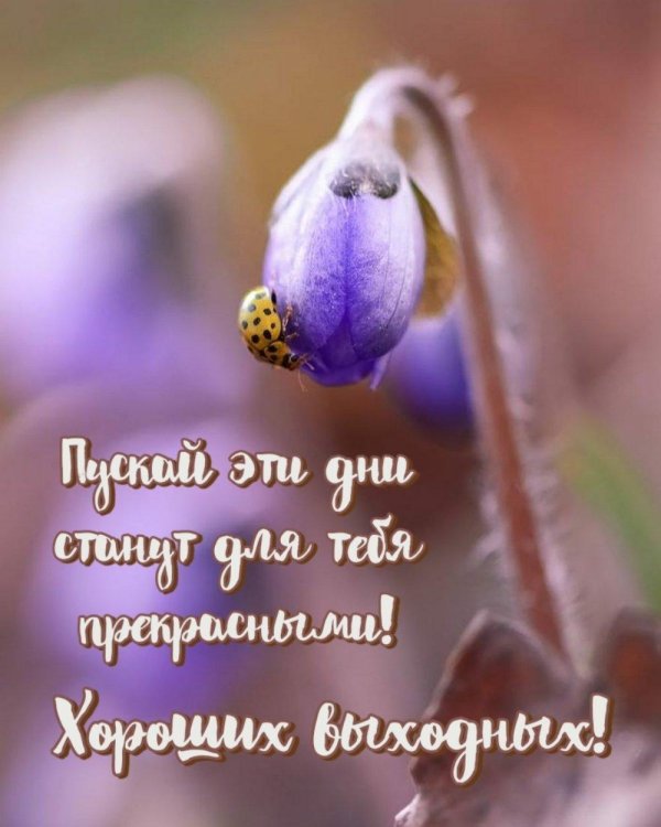 хороших выходных дней