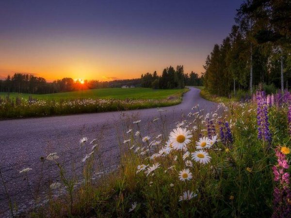 летнего вечера