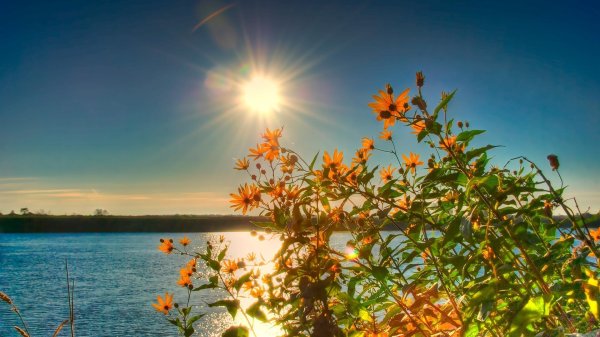 рассвет закат