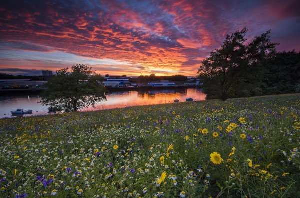 красивый летний закат