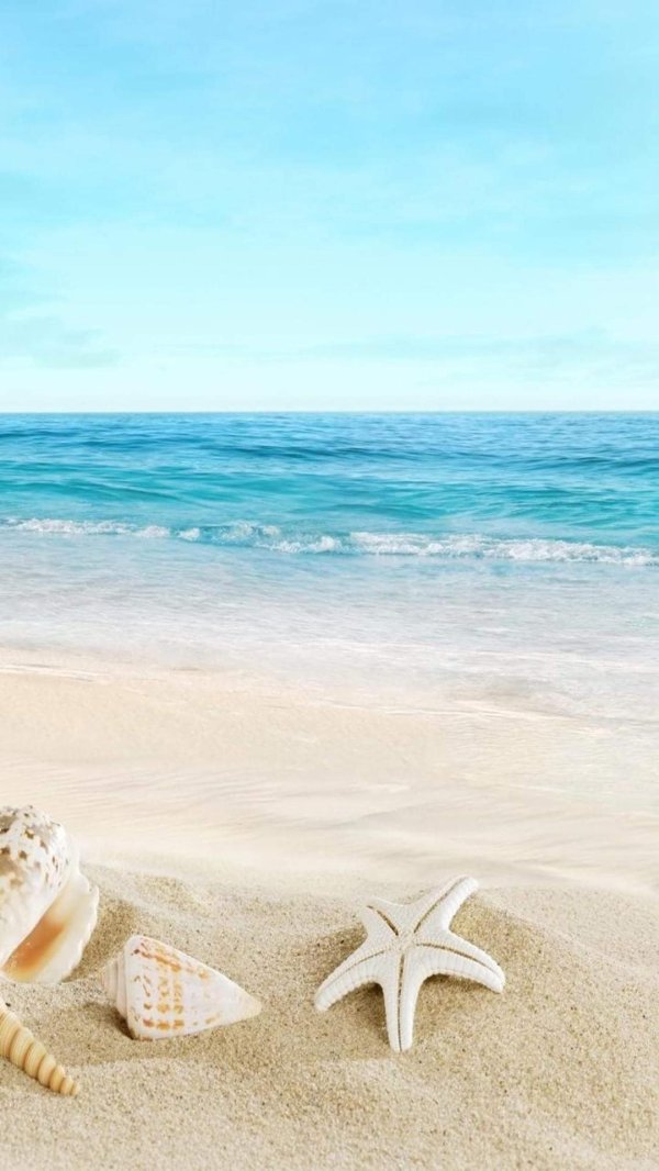 фон морской