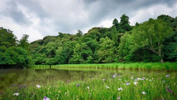 красива природа