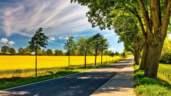 дорога пейзаж