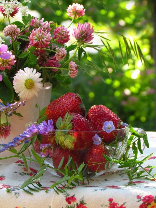 летнего утра