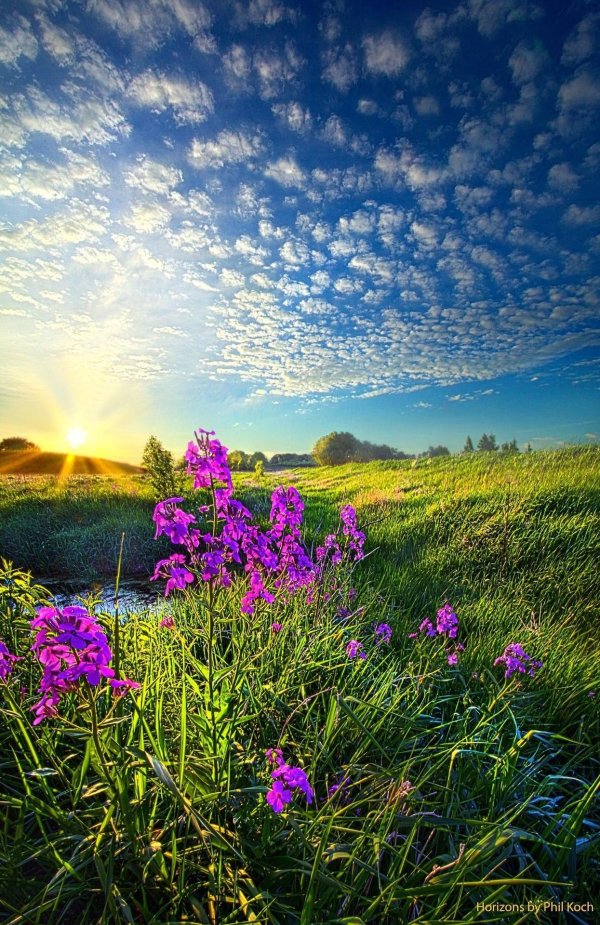 пейзажи красивые