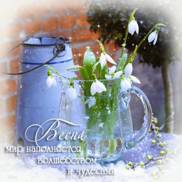 подснежники открытка