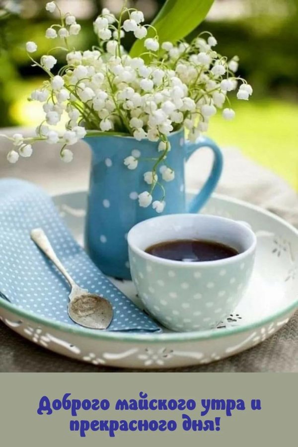 доброго майского утра