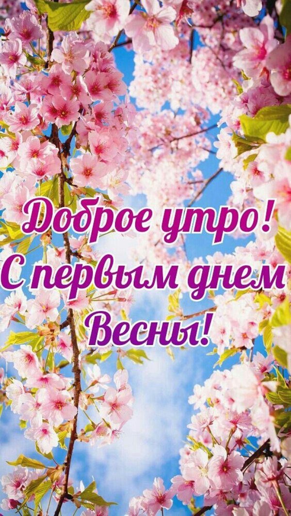 открытка весенняя