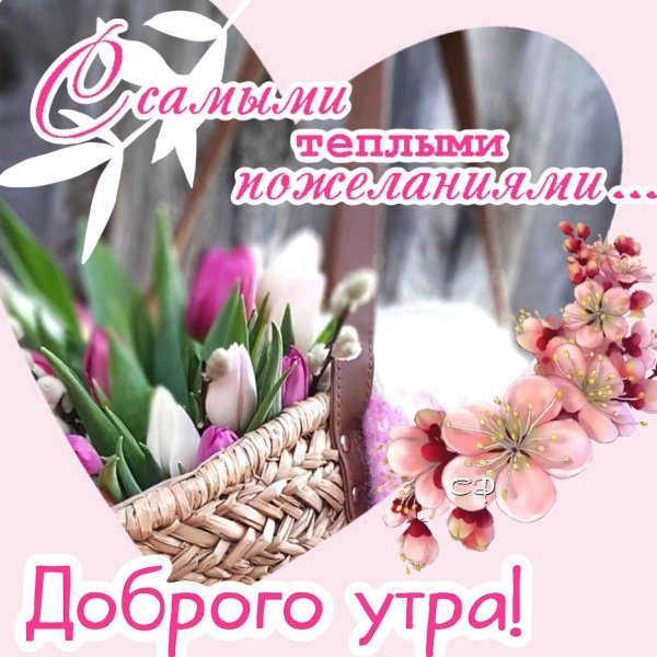 утро доброе весеннее