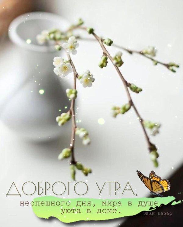 весеннего утра