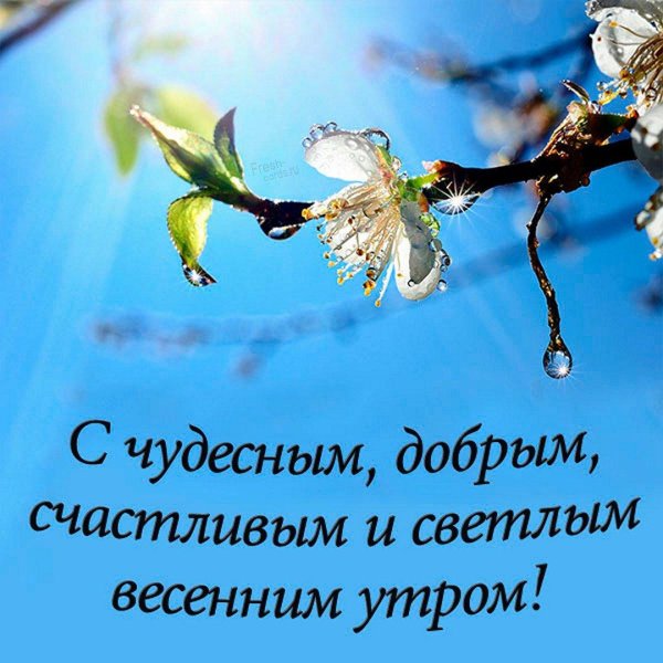 добрейшего весеннего утра