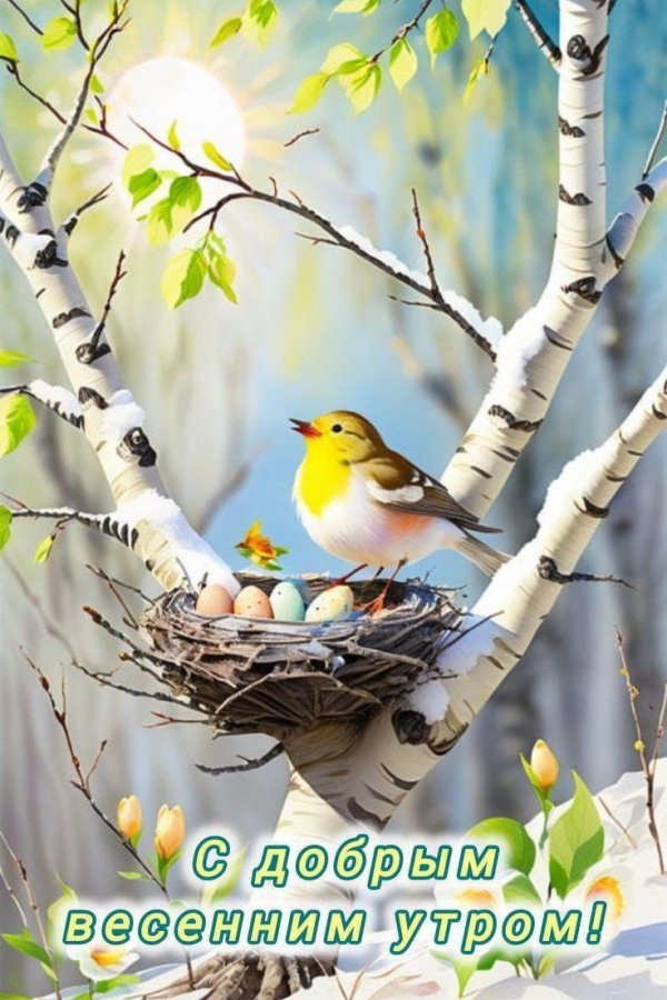 весна доброе утро