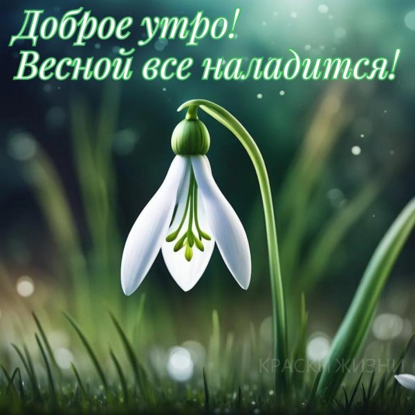 добрейшего весеннего утра