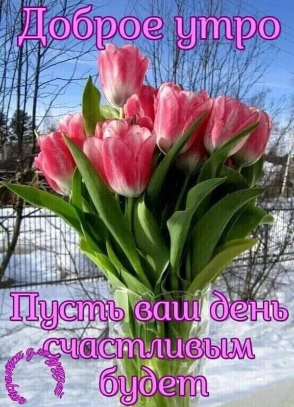 прекрасного весеннего дня