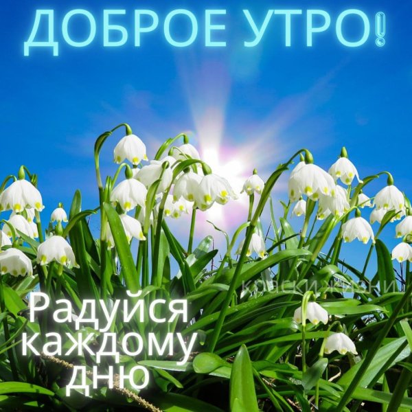добрейшего весеннего утра
