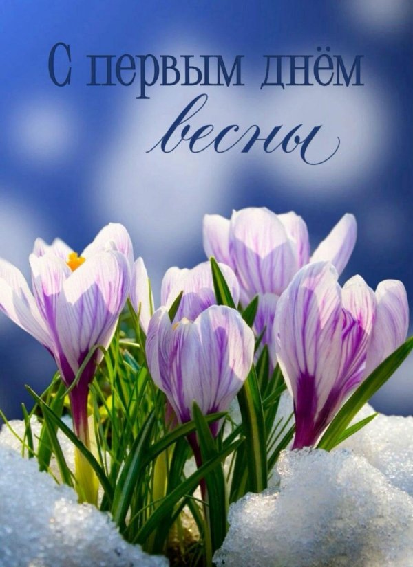 1 марта первый день весны