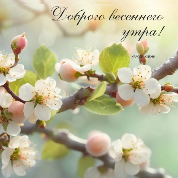 добрейшего весеннего утра
