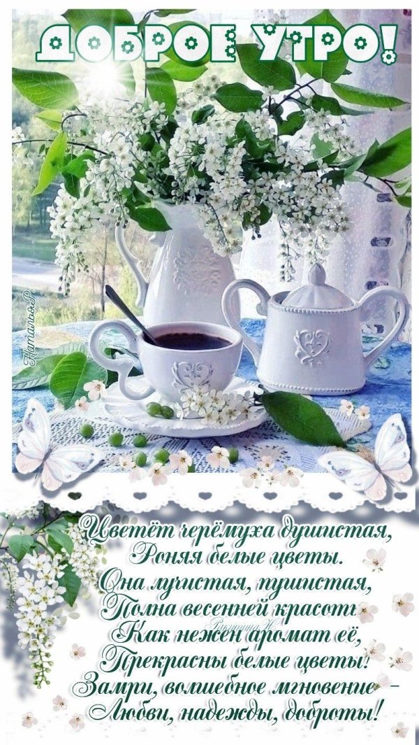 доброго утра весна