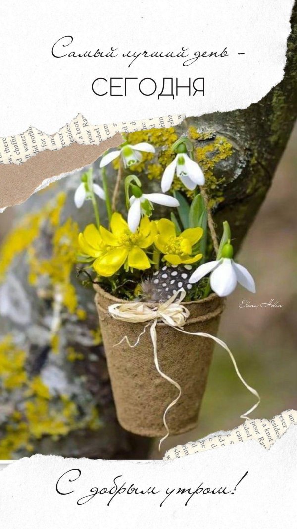 стильные открытки хорошего весеннего дня