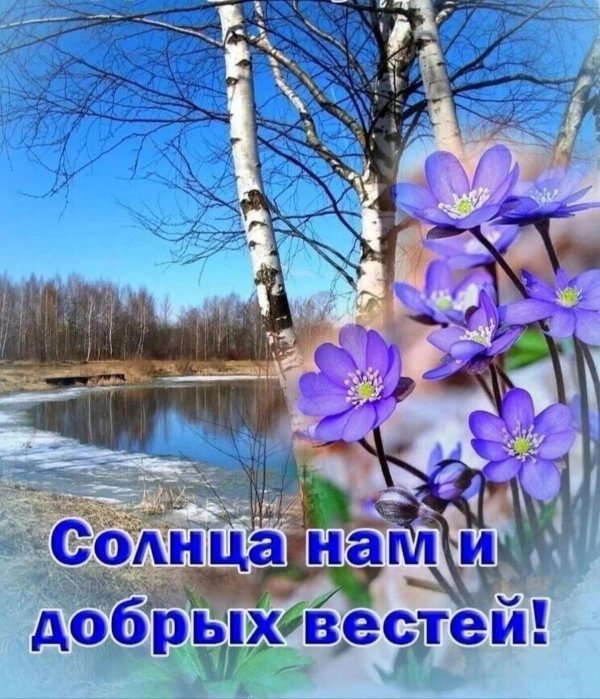 доброго утра солнце