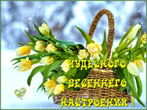 открытка весеннего настроения