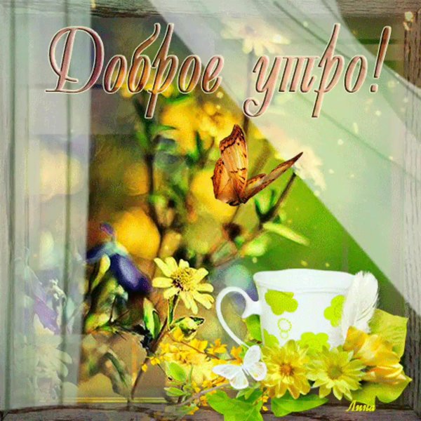 солнечного доброго утра