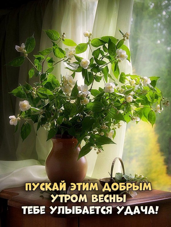 весеннего утра