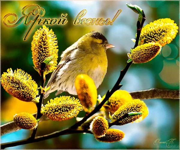 открытка весенняя