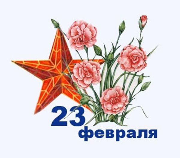 23 февраля гвоздики