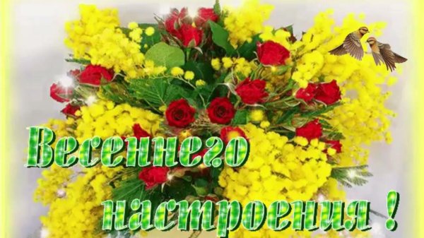 мимоза букет