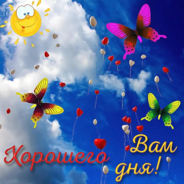 поздравление с хорошим днем